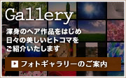 banner_gallery.jpg